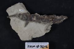 FHSM VP-3242