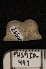 FHSM IP-497