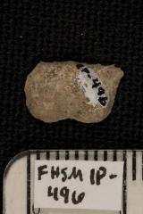 FHSM IP-496