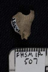 FHSM IP-507