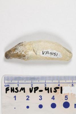 FHSM VP-4151