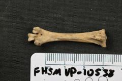 FHSM VP-10538