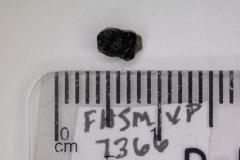 FHSM VP-7366