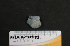 FHSM VP-15583