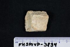FHSM VP-3834