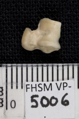 FHSM VP-5006