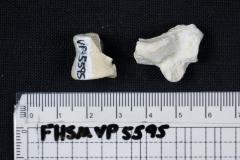 FHSM VP-5595