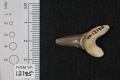 FHSM VP-12185