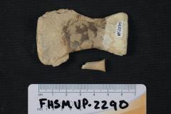 FHSM VP-2290