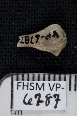 FHSM VP-6787