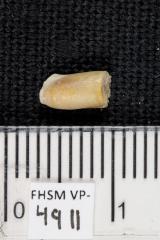 FHSM VP-4911