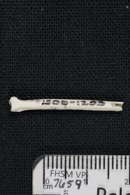FHSM VP-7659