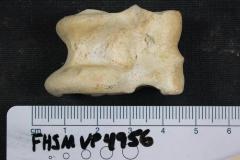 FHSM VP-4956