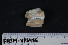 FHSM VP-5485