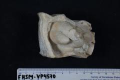 FHSM VP-4570