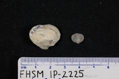 FHSM IP-2225