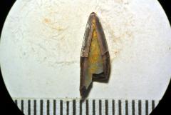 FHSM VP-20445