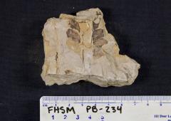 FHSM PB-234