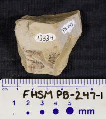 FHSM PB-247-1