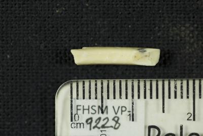 FHSM VP-9228