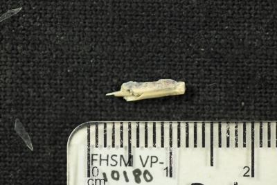 FHSM VP-10180