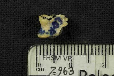 FHSM VP-7963