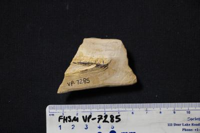 FHSM VP-7285