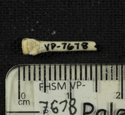 FHSM VP-7678