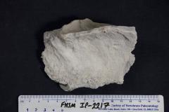 FHSM IP-2217