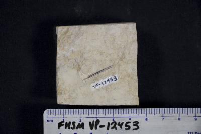 FHSM VP-12453