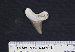FHSM VP-2224-3