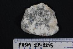 FHSM IP-2215
