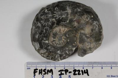 FHSM IP-2214
