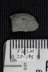 FHSM IP-195