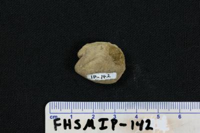 FHSM IP-142