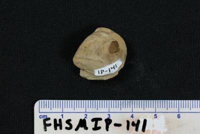 FHSM IP-141