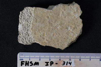 FHSM IP-314