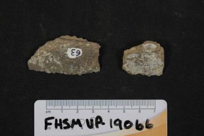 FHSM VP-19066