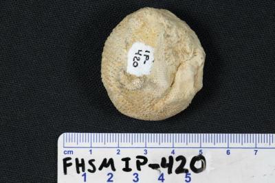 FHSM IP-420